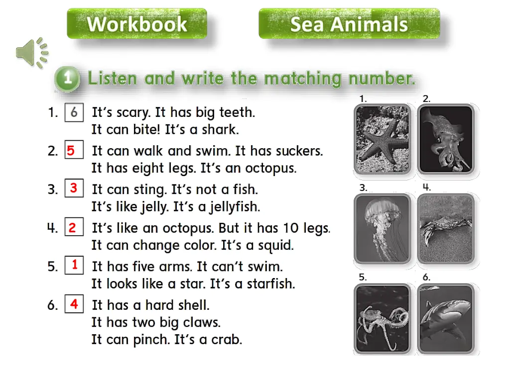 workbook 6