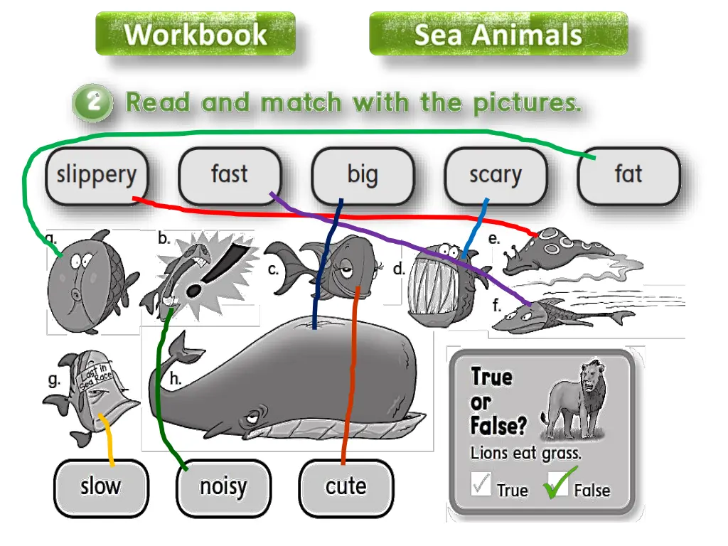 workbook 9