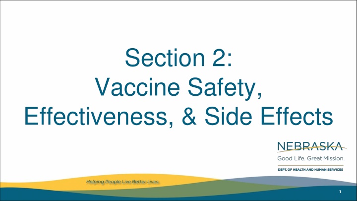 section 2 vaccine safety effectiveness side