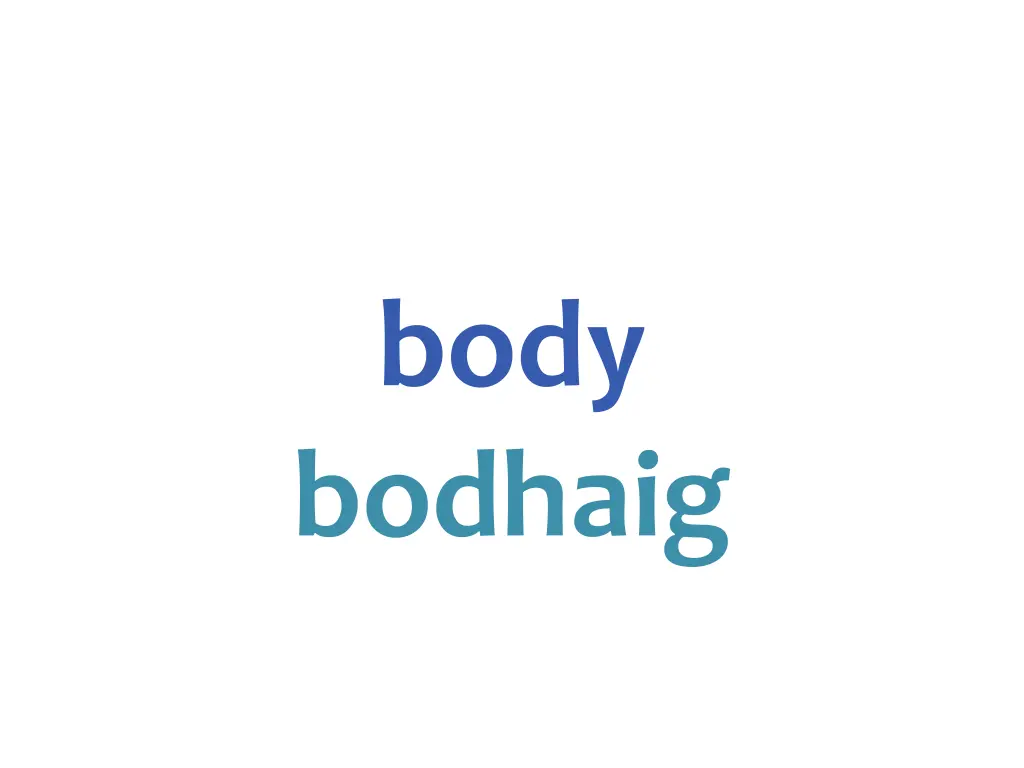 body bodhaig