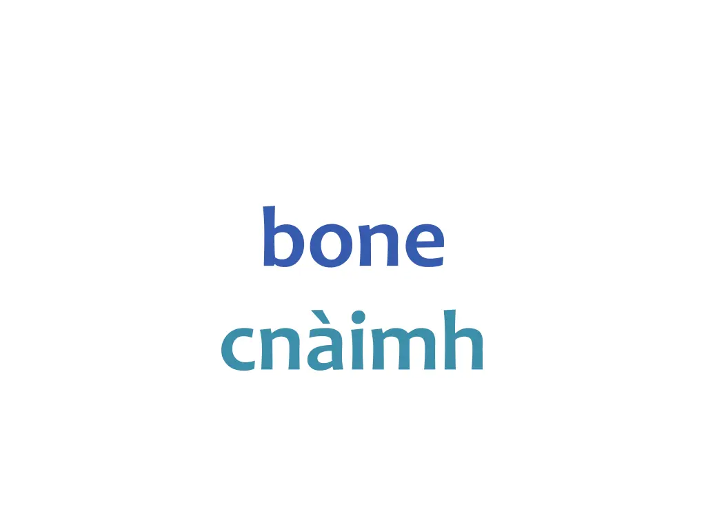 bone cn imh