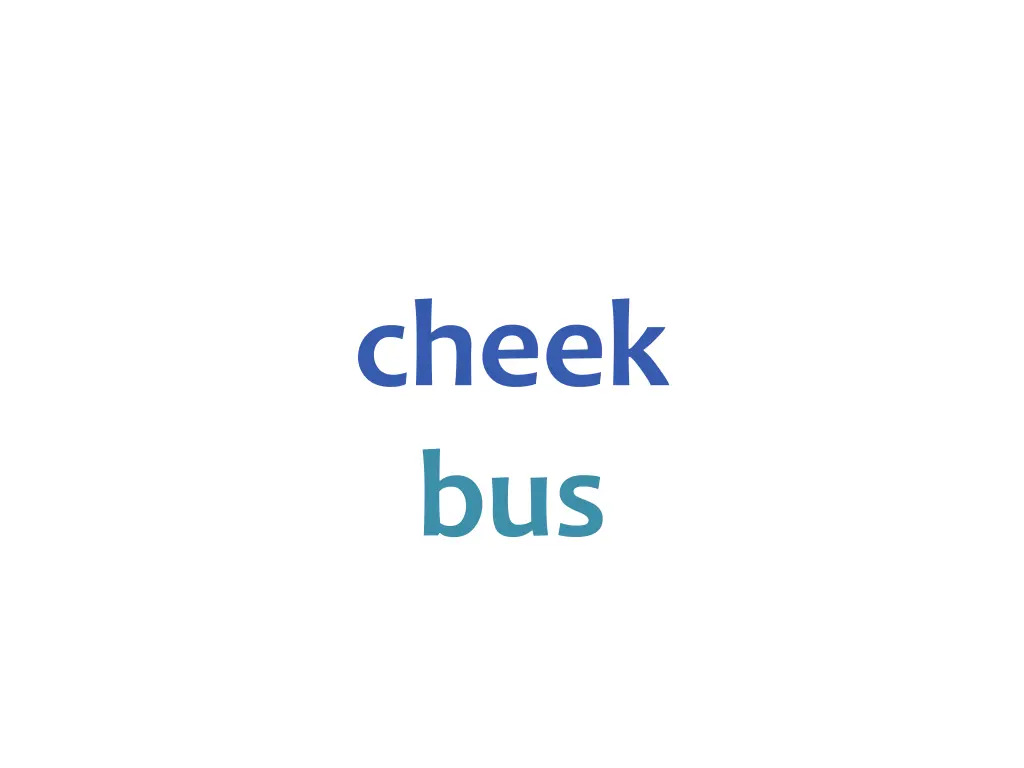 cheek bus