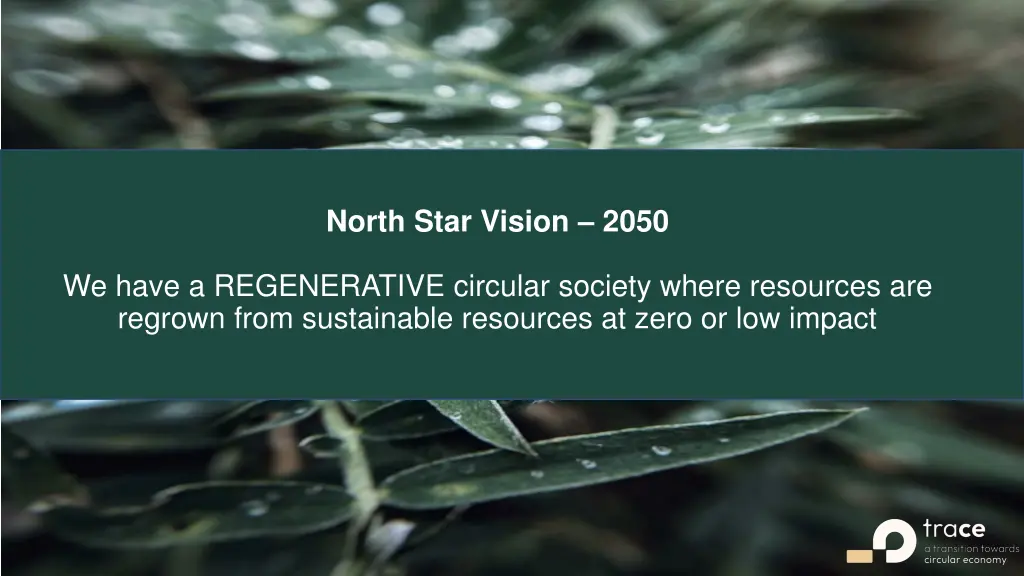 north star vision 2050