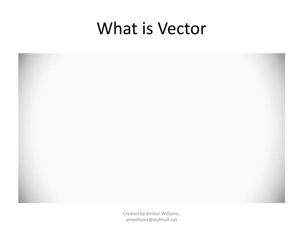 what is vector