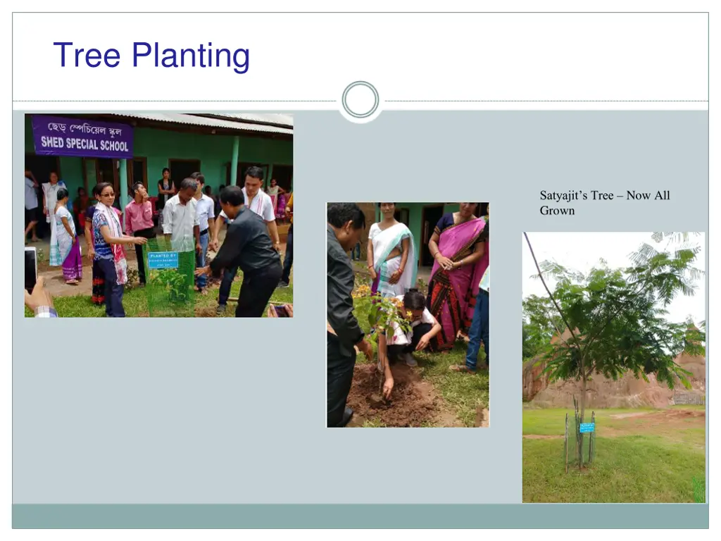 tree planting