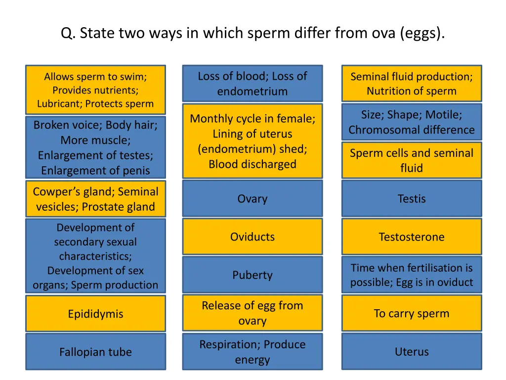 q state two ways in which sperm differ from