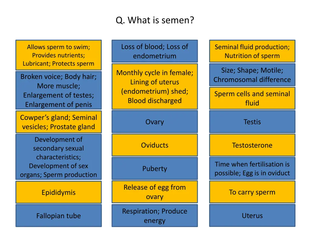 q what is semen