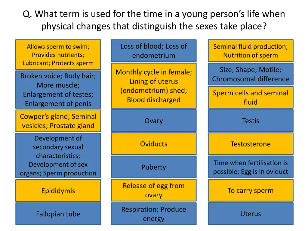 q what term is used for the time in a young