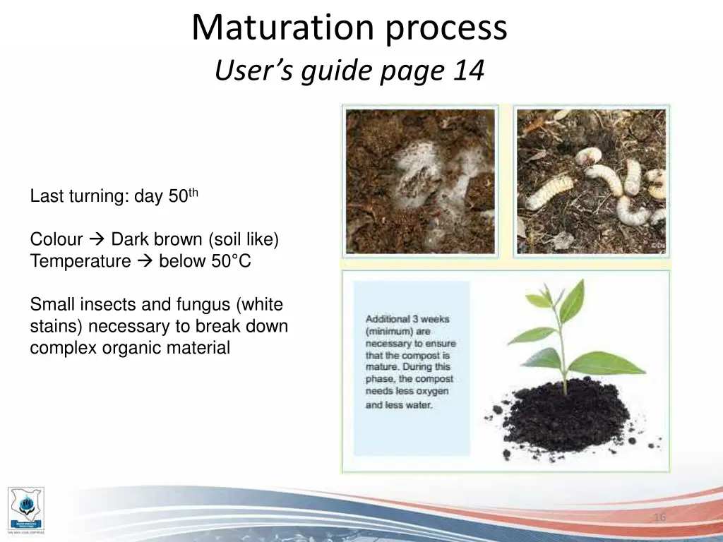 maturation process user s guide page 14