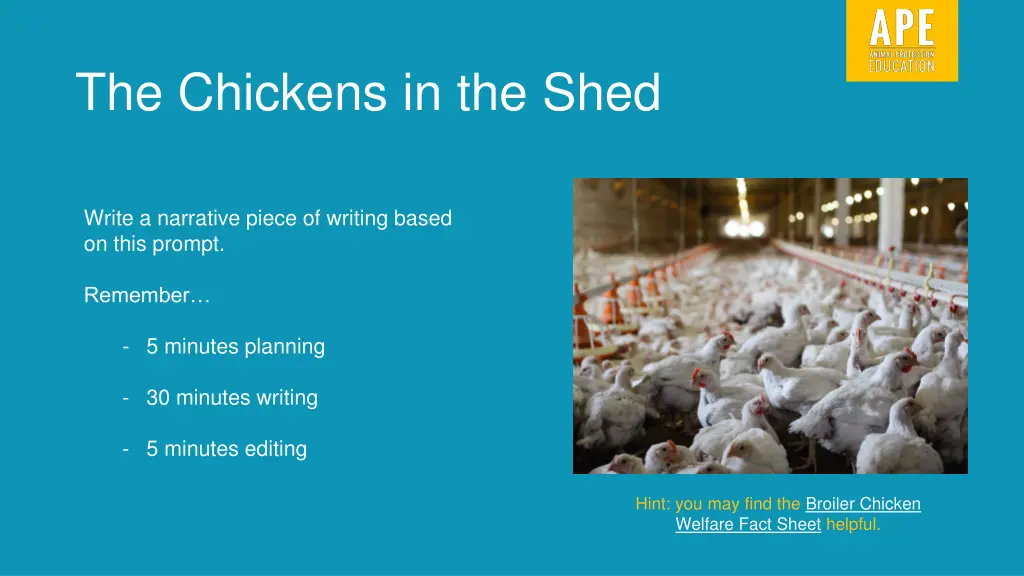 the chickens in the shed