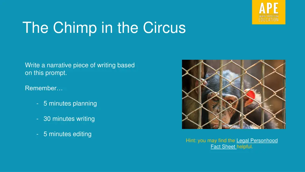 the chimp in the circus 1