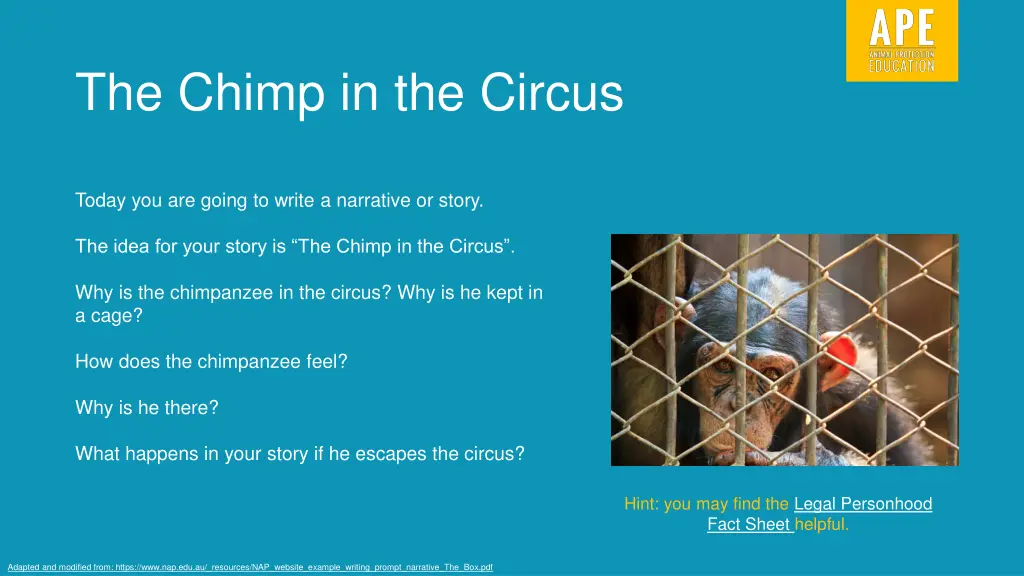 the chimp in the circus