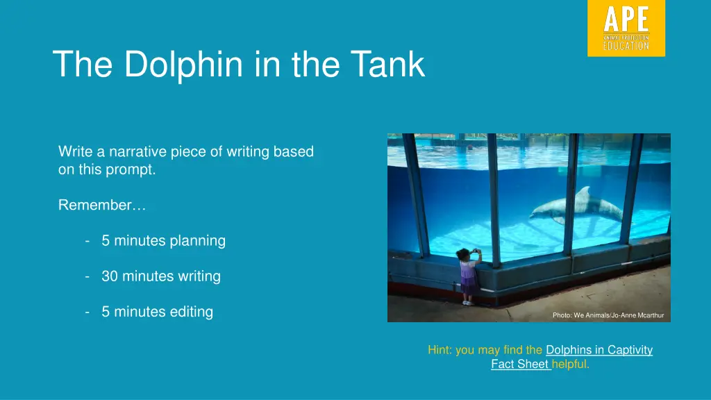 the dolphin in the tank 1