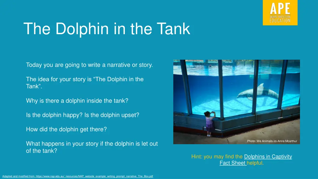 the dolphin in the tank