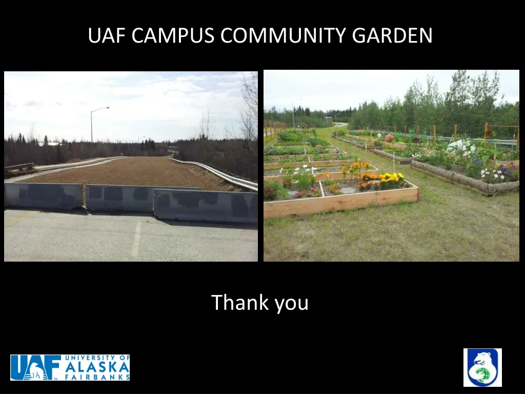 uaf campus community garden 1