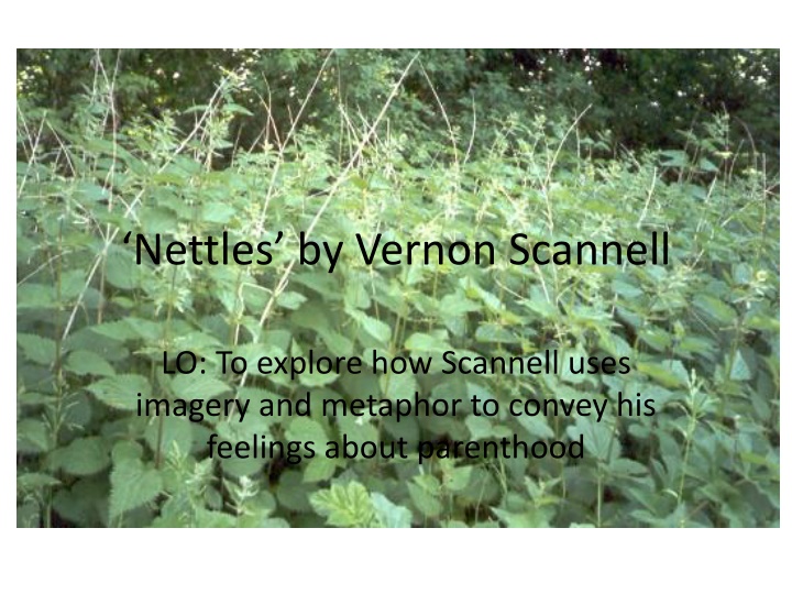 nettles by vernon scannell