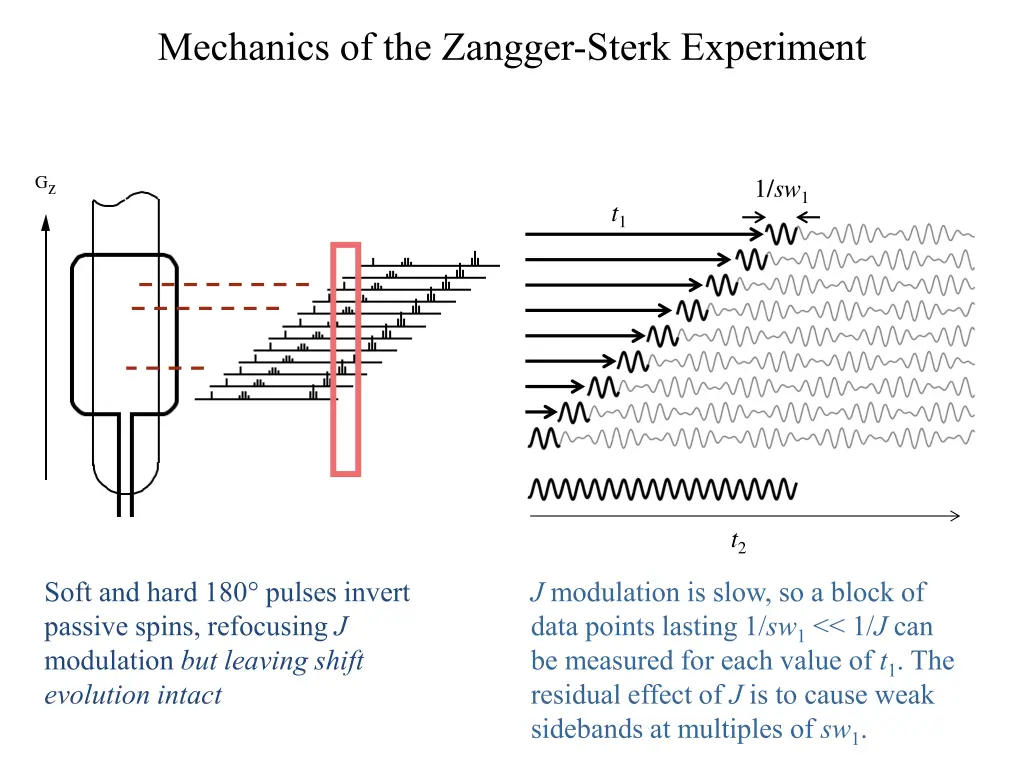 mechanics of the zangger sterk experiment