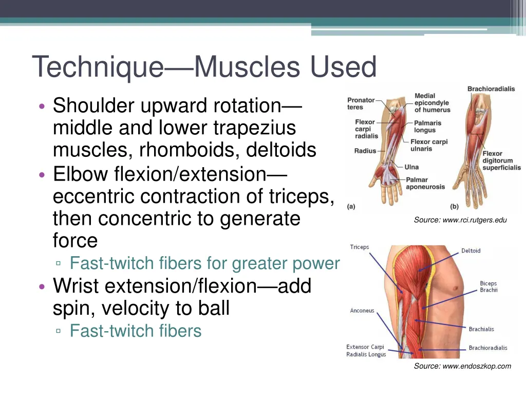 technique muscles used shoulder upward rotation