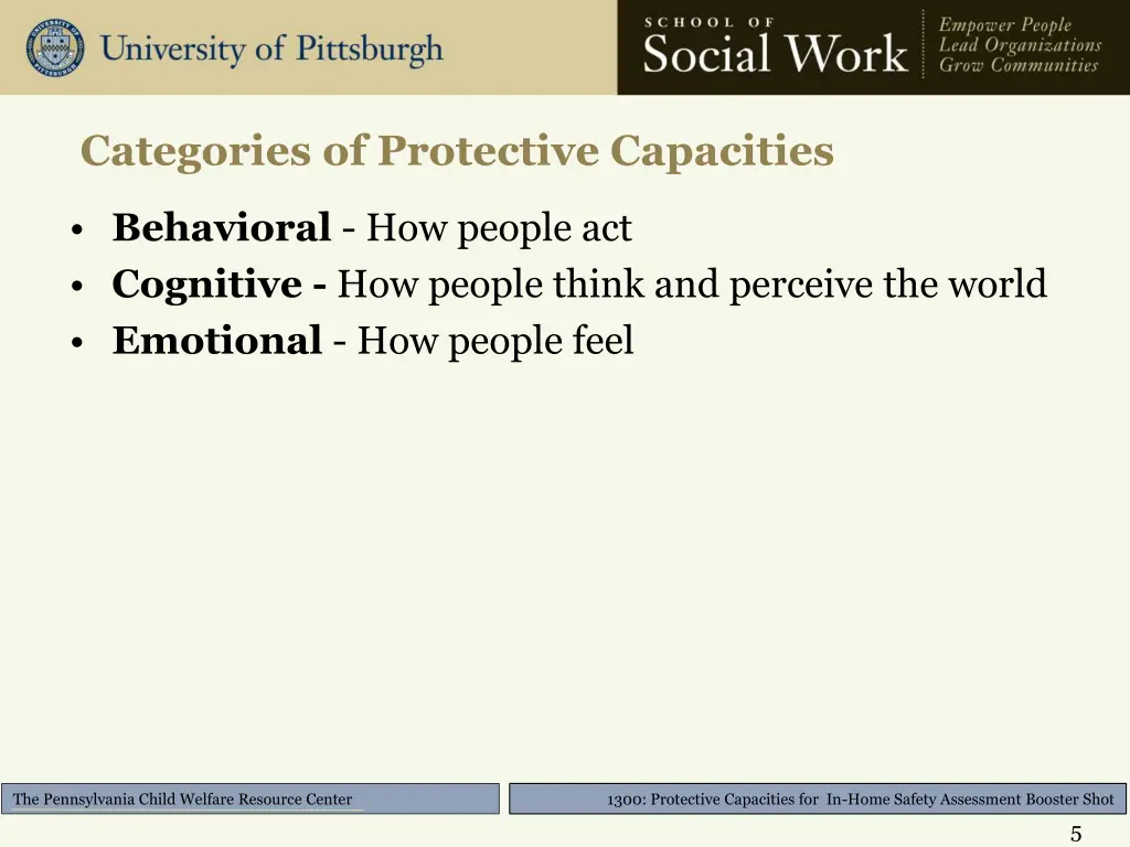 categories of protective capacities