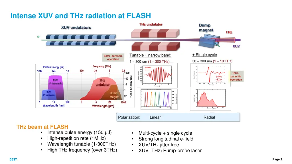 intense xuv and thz radiation at flash