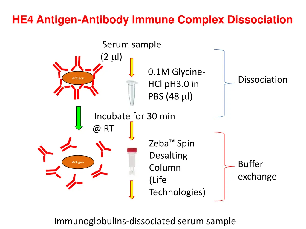 he4 antigen antibody immune complex dissociation