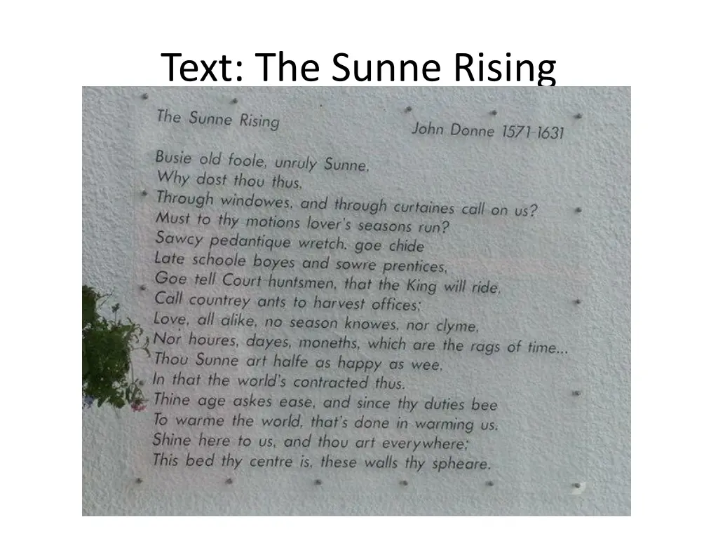 text the sunne rising