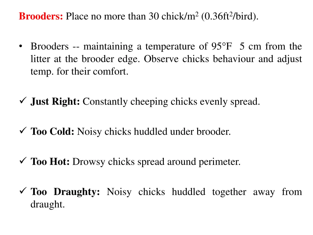 brooders place no more than 30 chick m 2 0 36ft