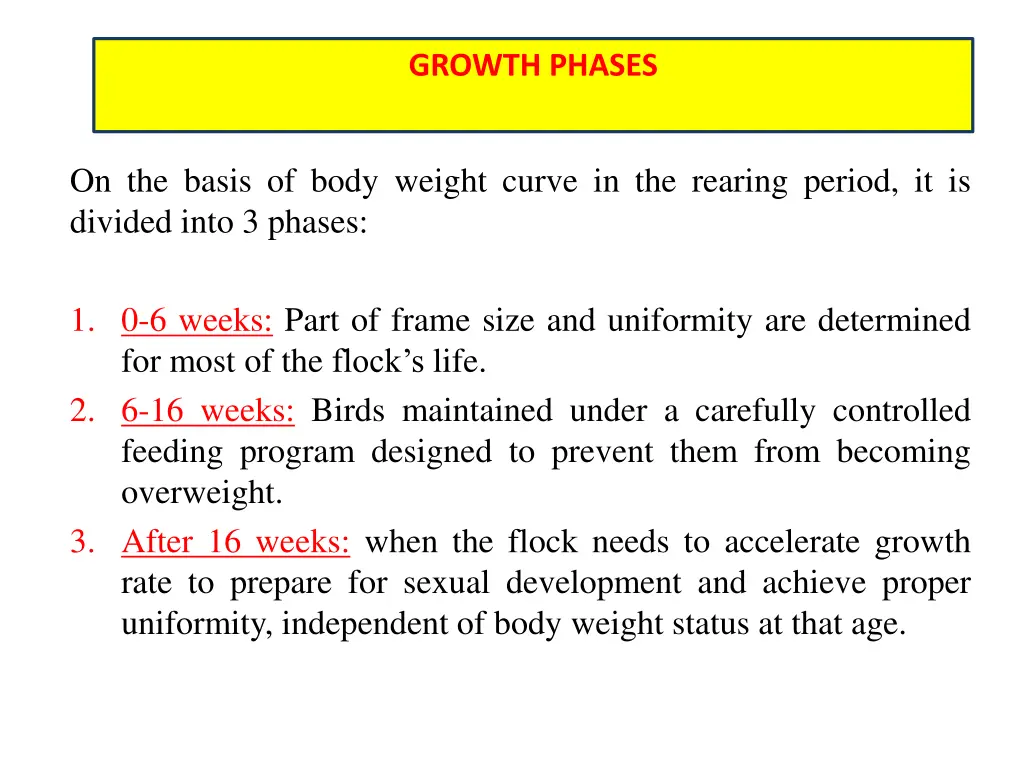 growth phases