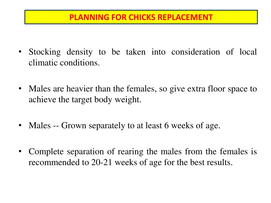 planning for chicks replacement