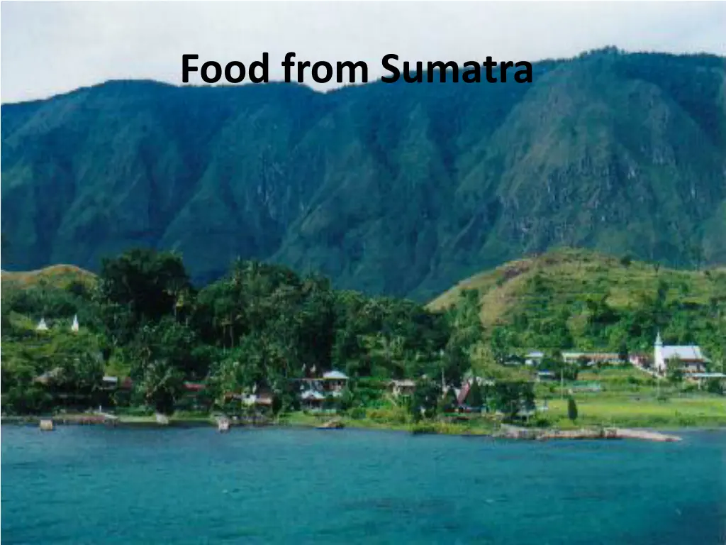 food from sumatra