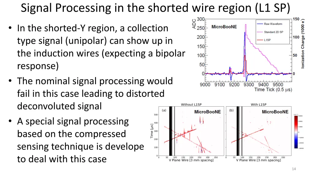 signal processing in the shorted wire region l1 sp