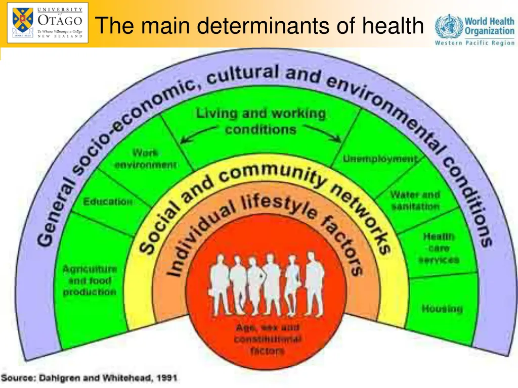 the main determinants of health