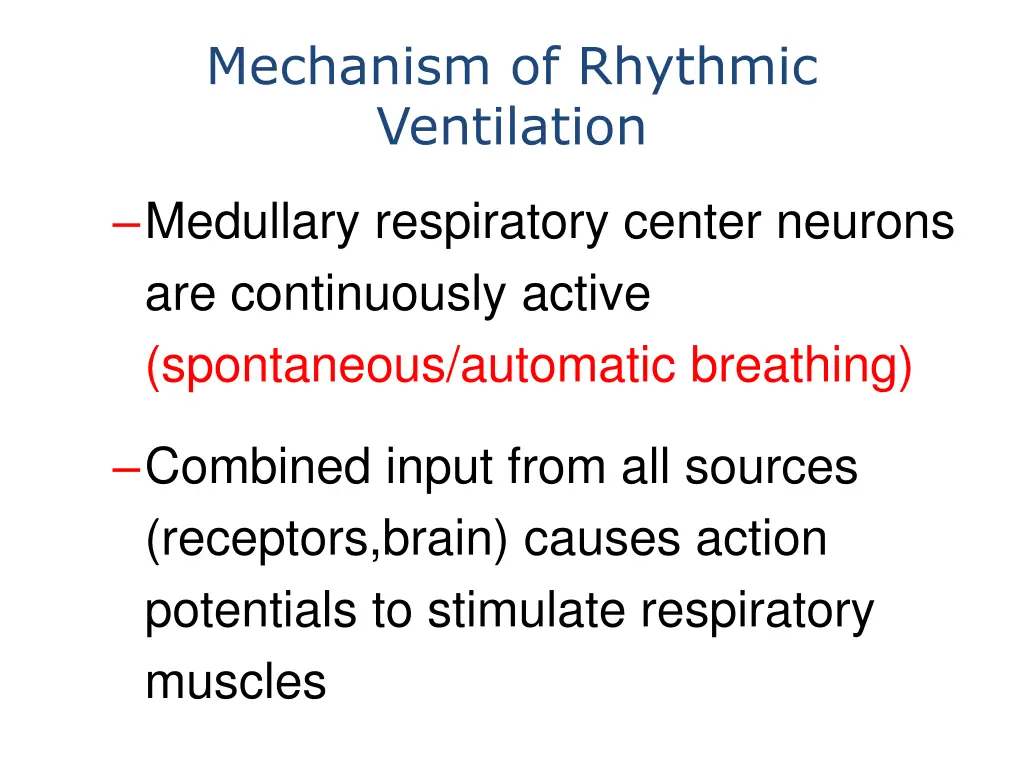 mechanism of rhythmic ventilation