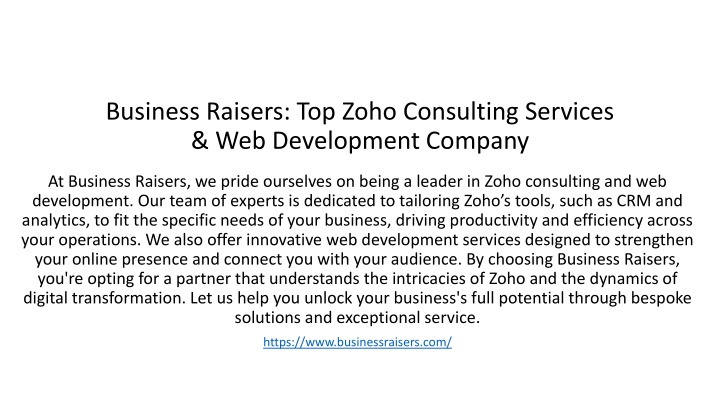 business raisers top zoho consulting services