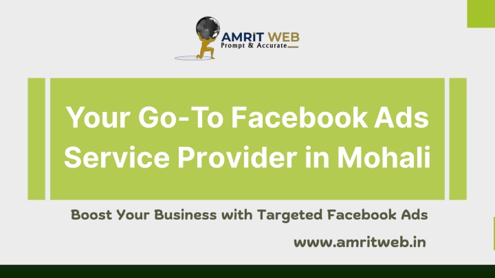 your go to facebook ads service provider in mohali