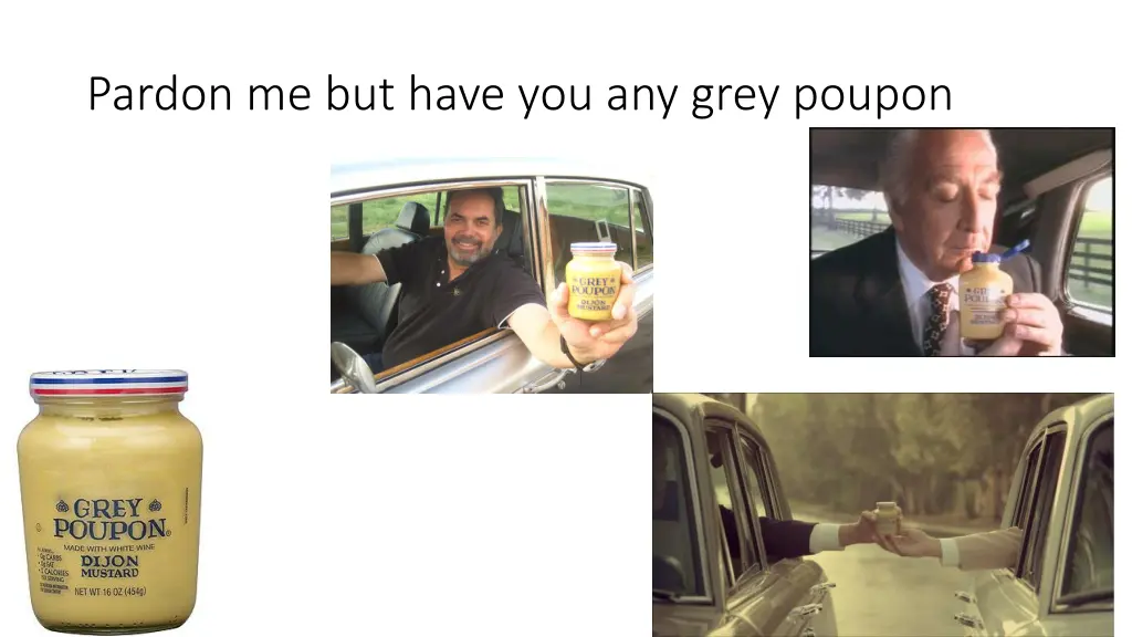 pardon me but have you any grey poupon