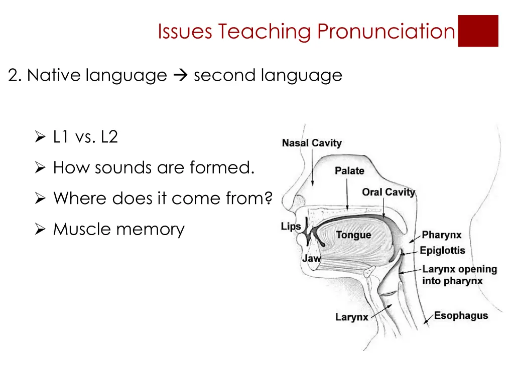 issues teaching pronunciation 2