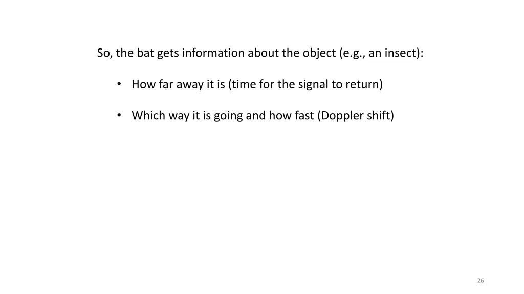 so the bat gets information about the object