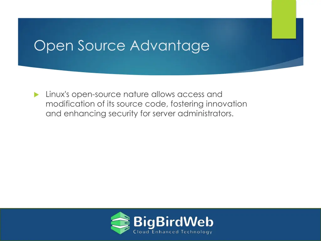 open source advantage