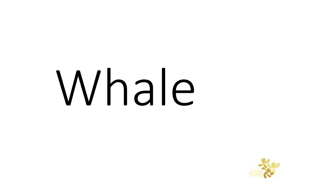 whale