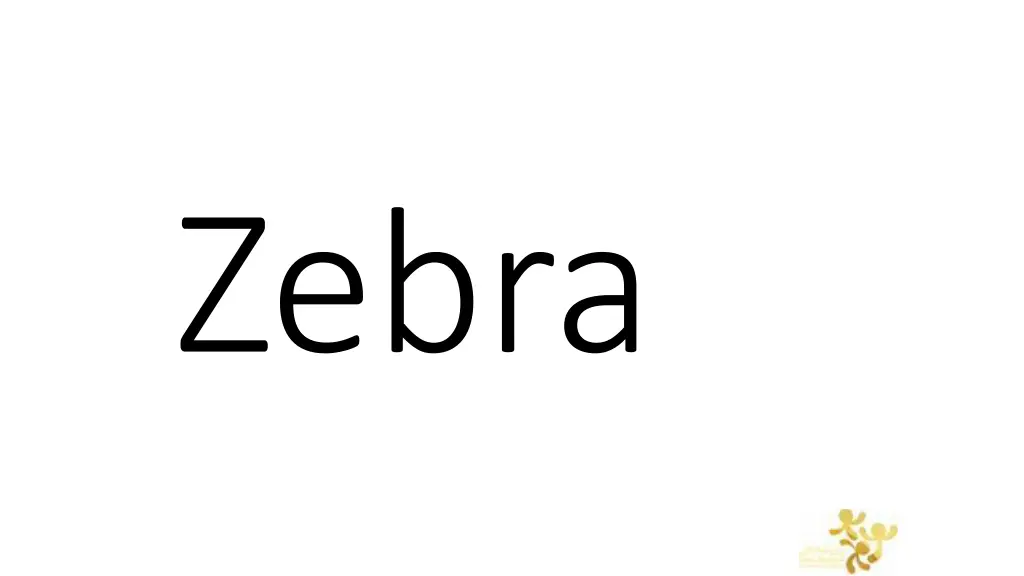 zebra