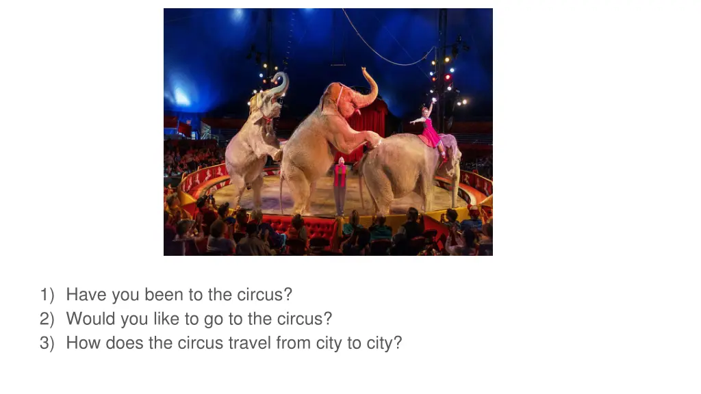 1 have you been to the circus 2 would you like