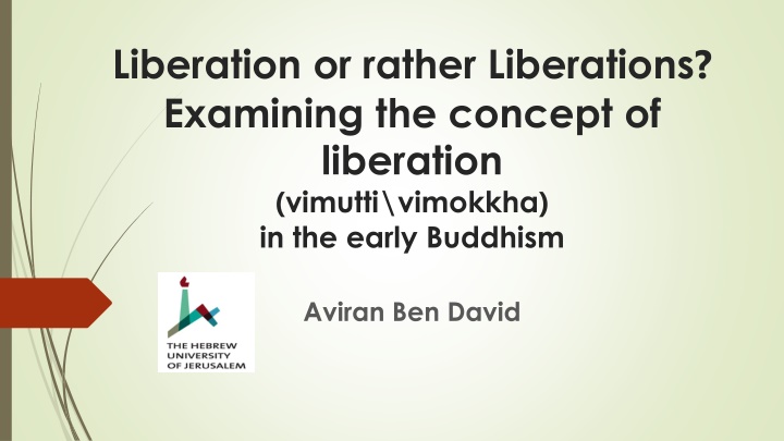 liberation or rather liberations examining