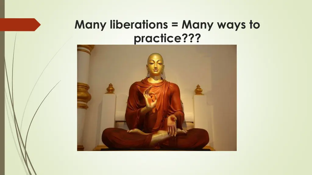 many liberations many ways to practice