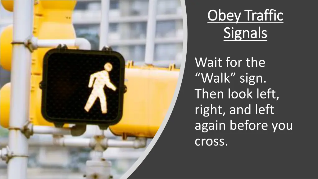 obey traffic obey traffic signals signals