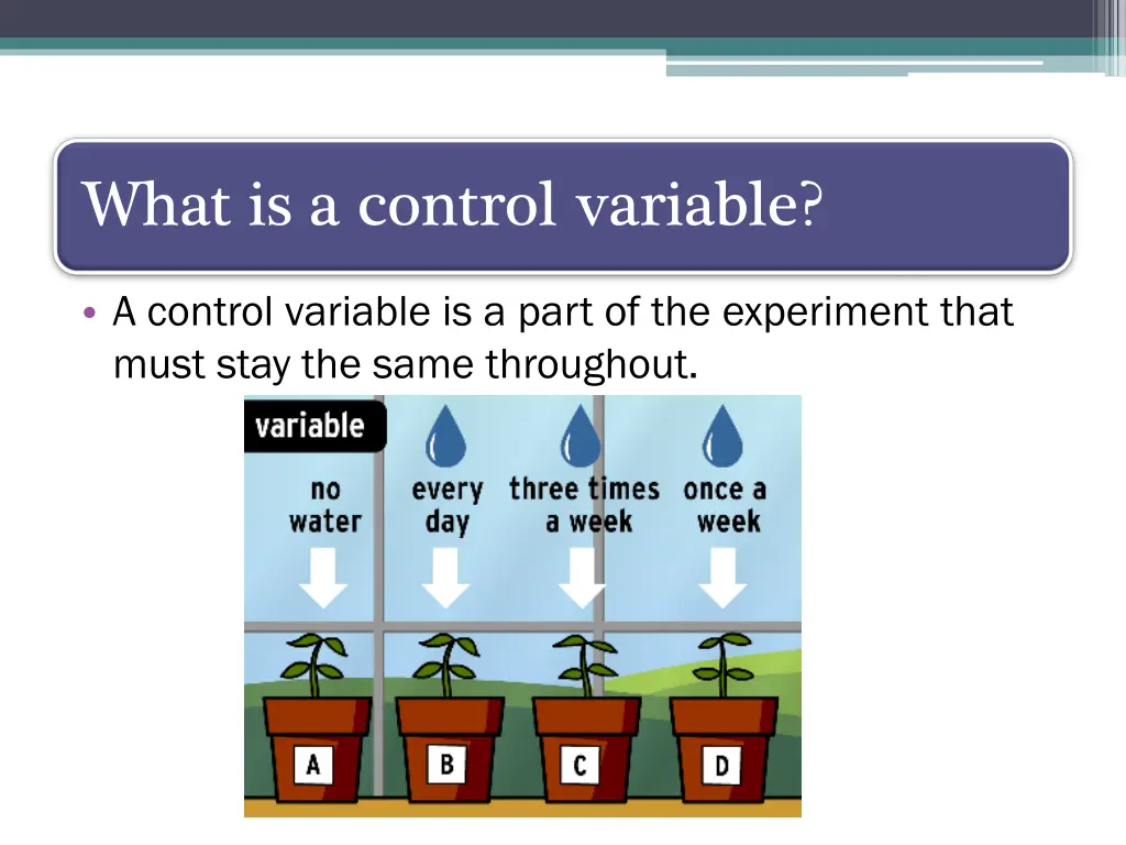 what is a control variable