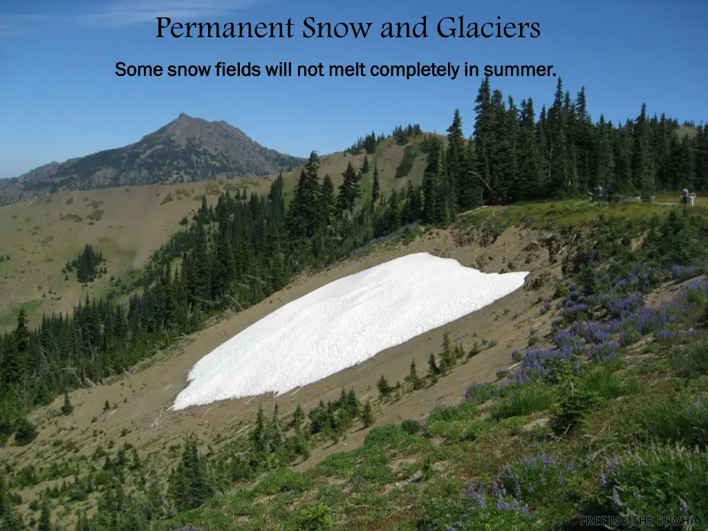 permanent snow and glaciers