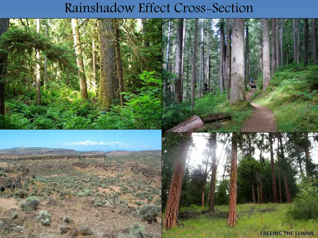 rainshadow effect cross section