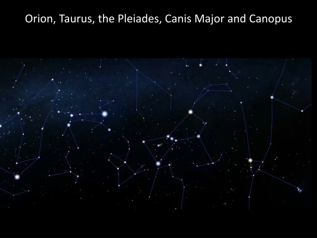 orion taurus the pleiades canis major and canopus