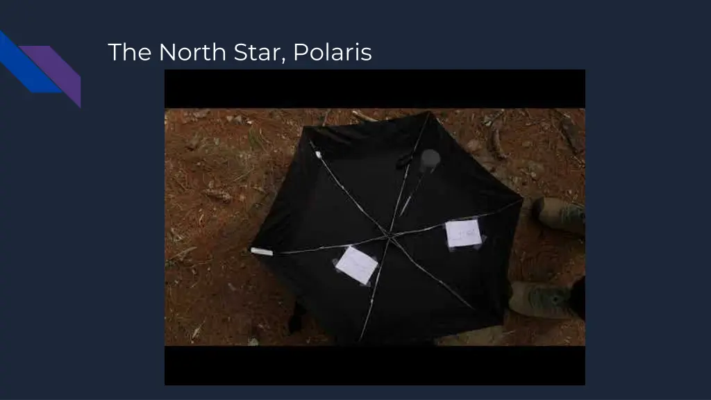 the north star polaris